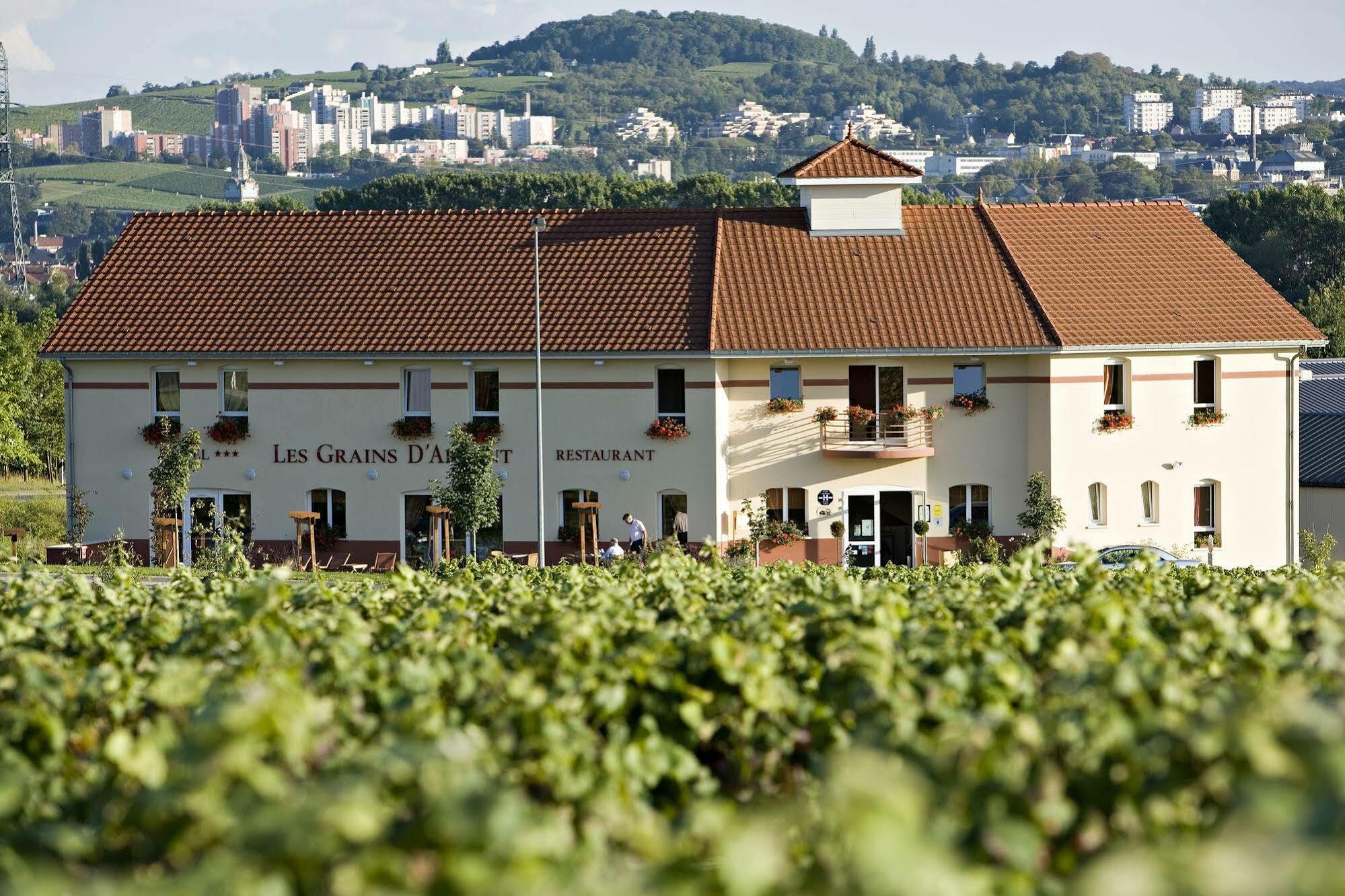 Les Grains D'Argent Dizy - Epernay Otel Dış mekan fotoğraf